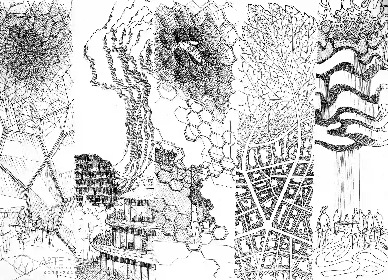 rysunek ołówkiem formy organiczne architektura