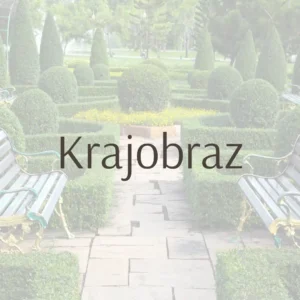 nauka rysunku i malarstwa architektura krajobrazu warszawa